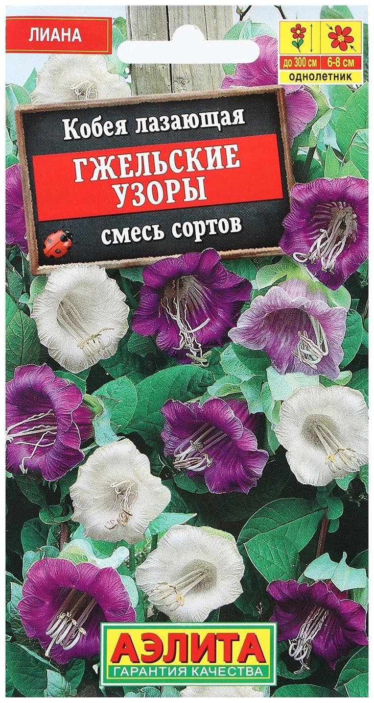 Семена цветов Кобея 