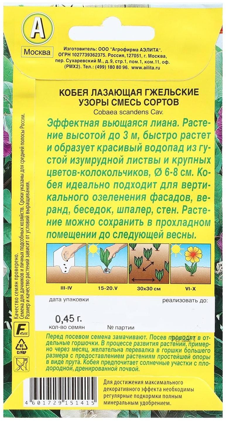 Семена цветов Кобея 