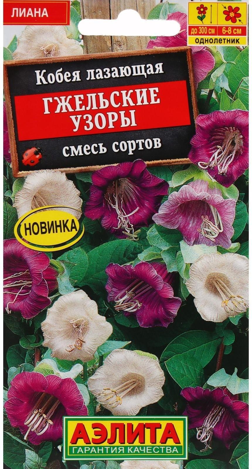 Семена цветов Кобея 