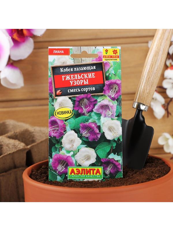 Семена цветов Кобея 