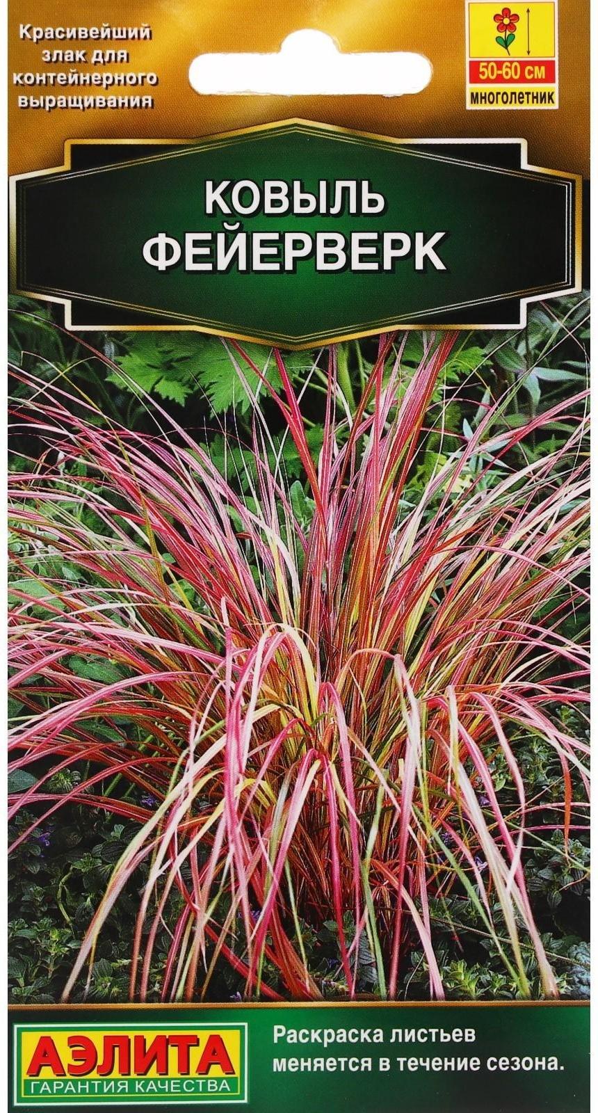 Семена цветов Ковыль 