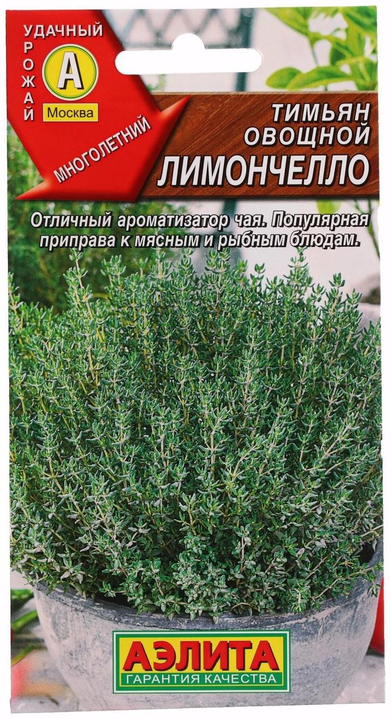 Семена Тимьян овощной 