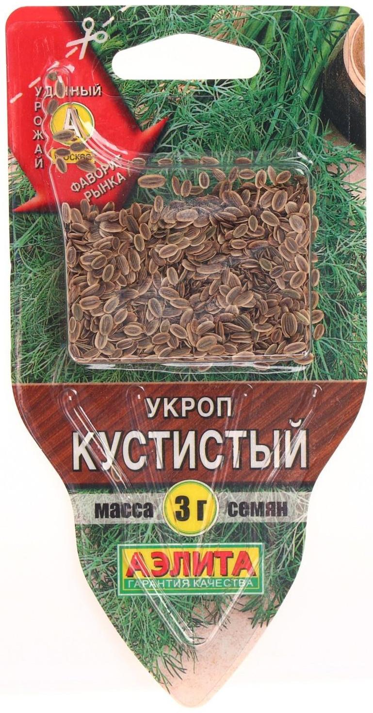 Семена Укроп 