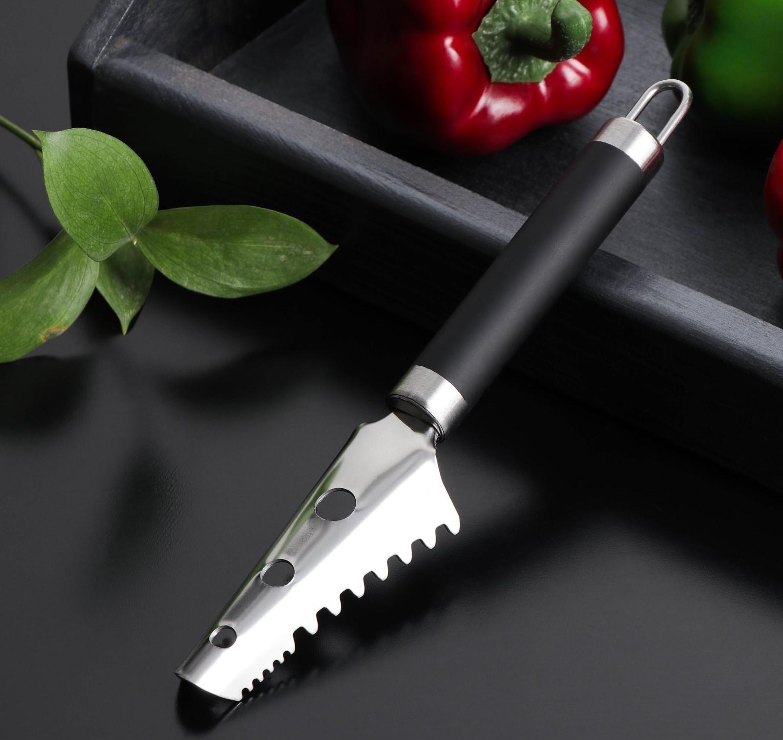 Рыбочистка Доляна Venus, нержавеющая сталь, цвет чёрный