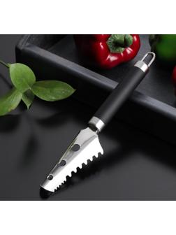 Рыбочистка Доляна Venus, нержавеющая сталь, цвет чёрный