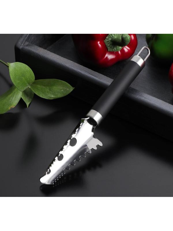 Рыбочистка Доляна Venus, нержавеющая сталь, цвет чёрный