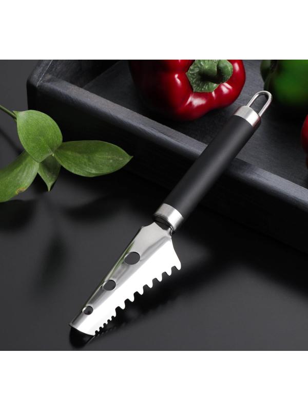 Рыбочистка Доляна Venus, нержавеющая сталь, цвет чёрный