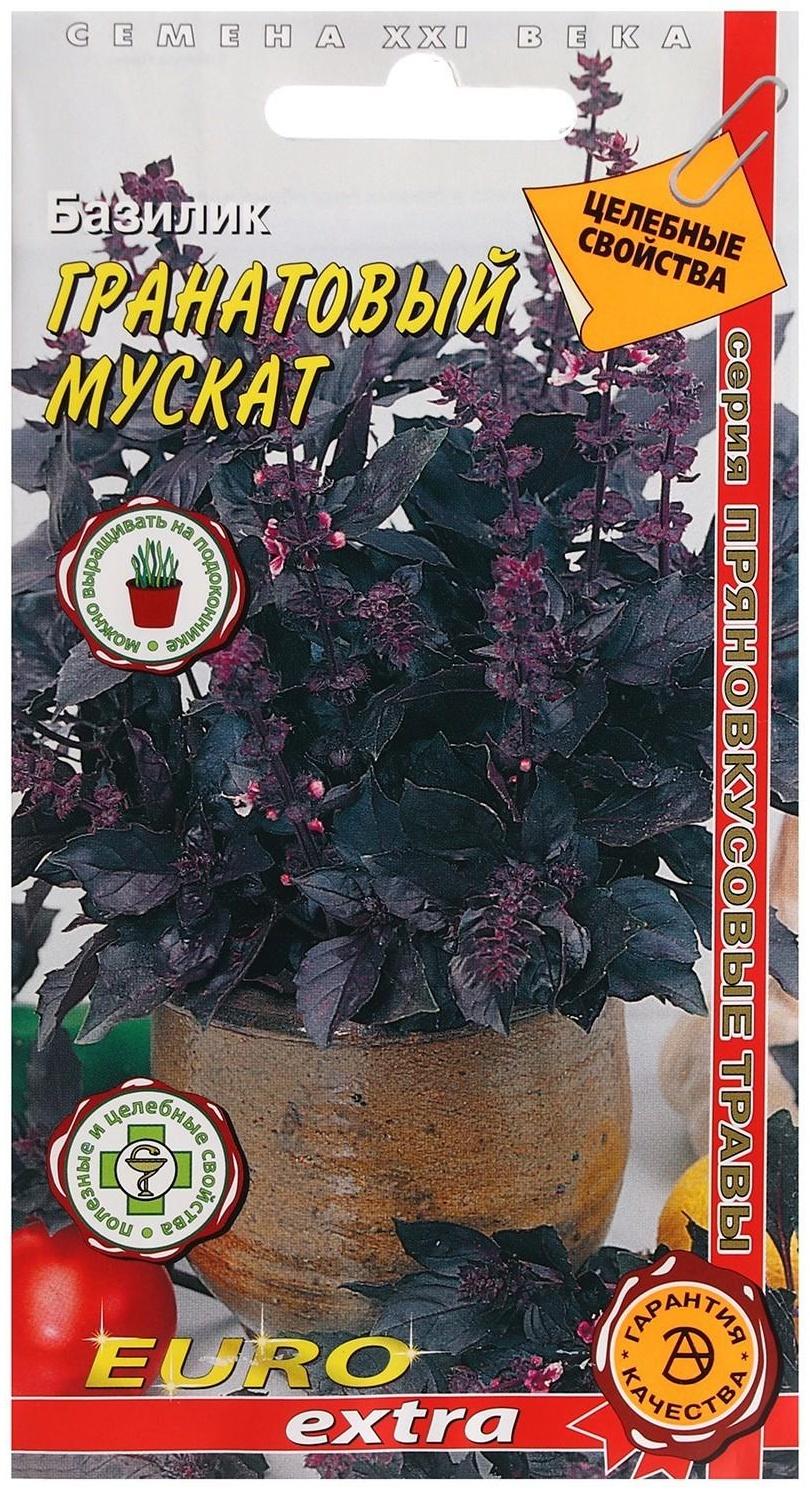 Семена Базилик 