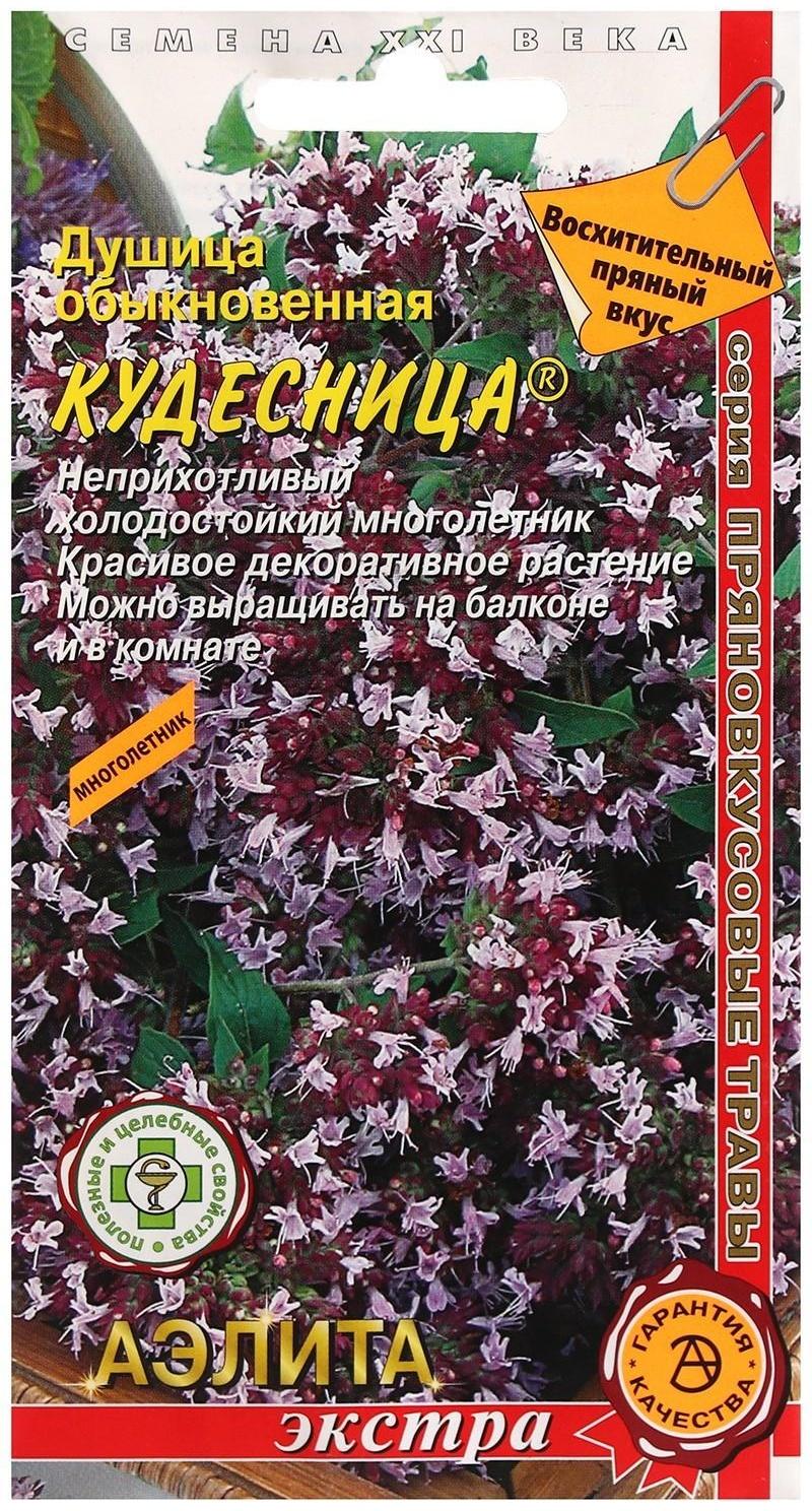 Семена Душица обыкновенная 