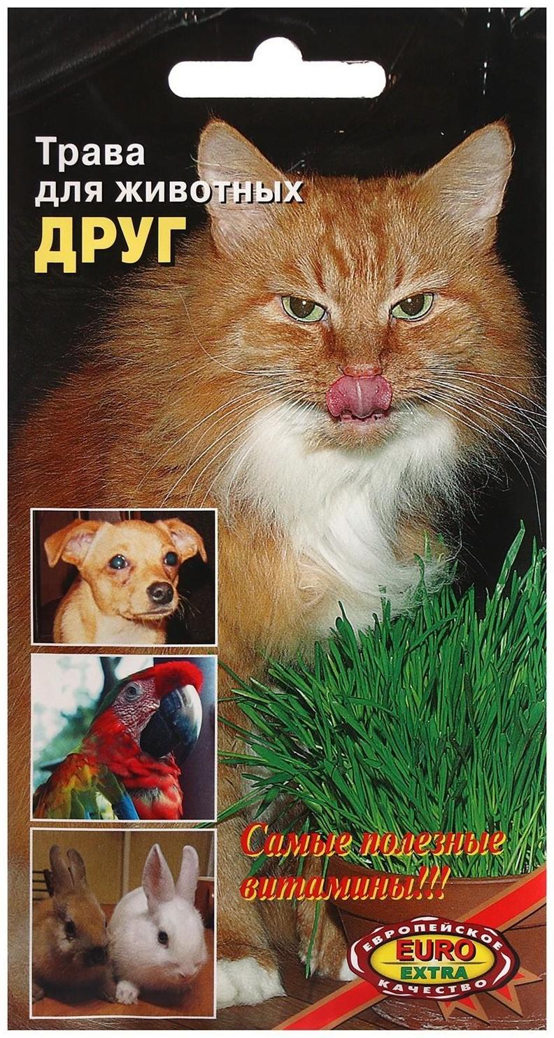 Семена Трава 