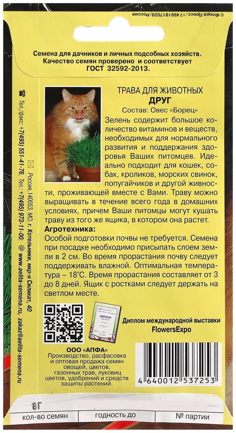 Семена Трава 