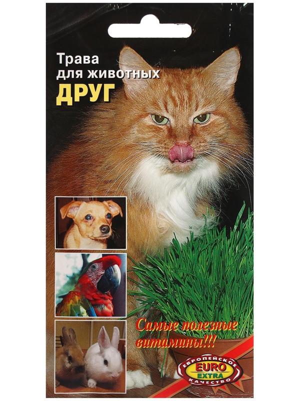 Семена Трава 