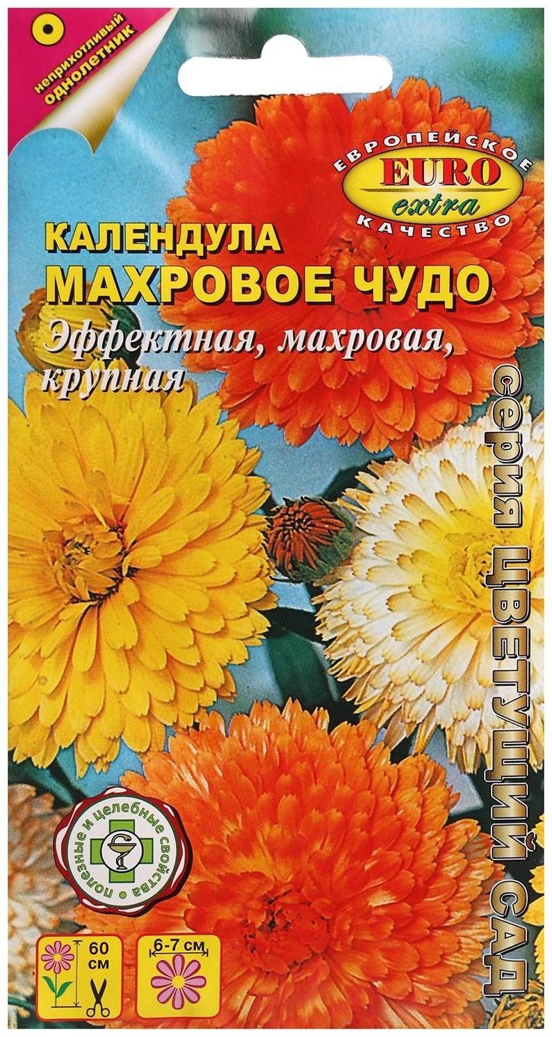 Семена цветов Календула 