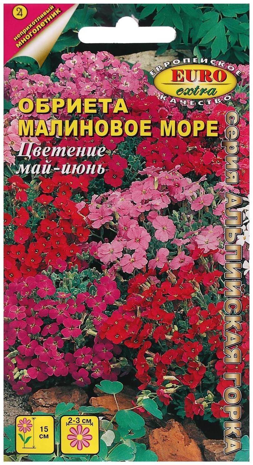 Семена цветов Обриета 