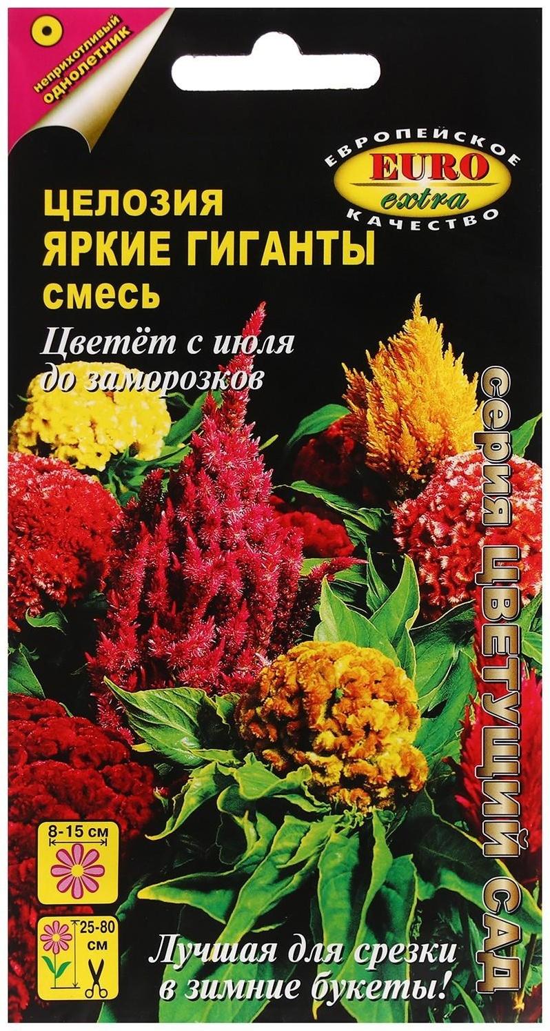 Семена цветов Целлозия 