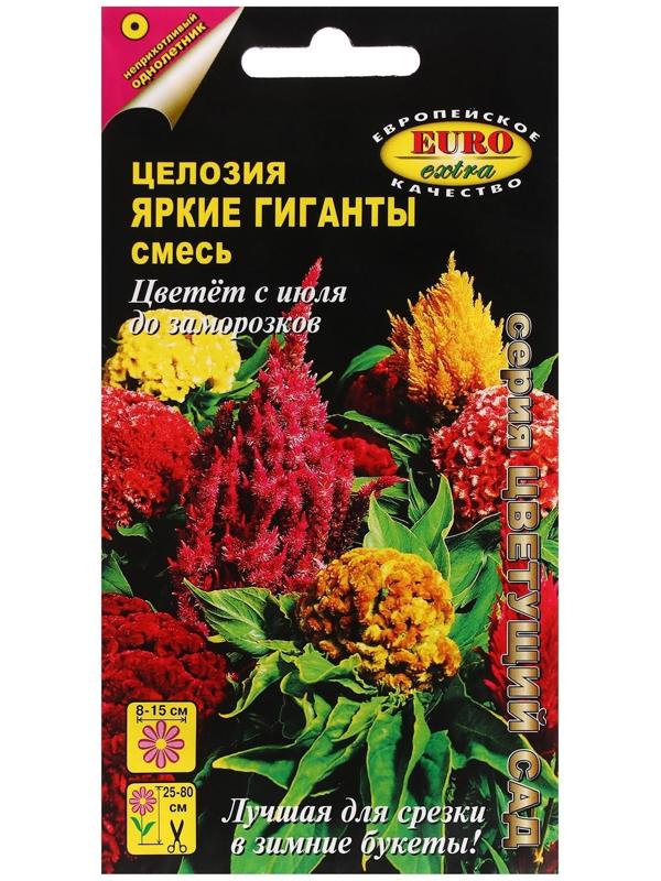 Семена цветов Целлозия 