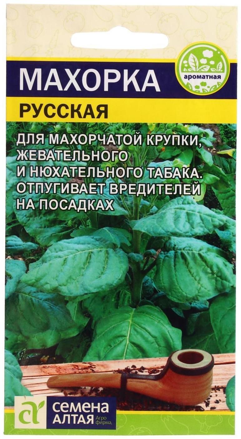 Семена Махорка 