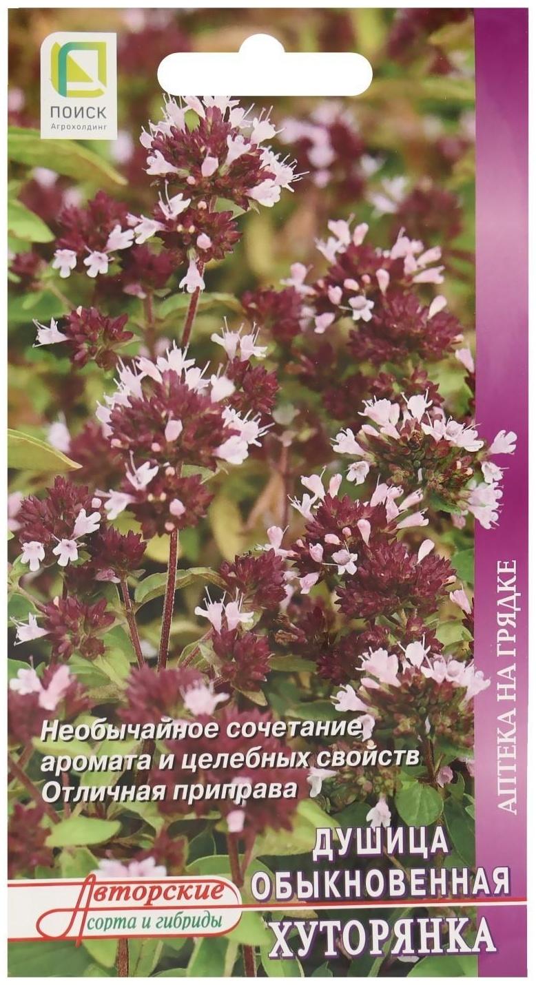 Семена Душица обыкновенная 