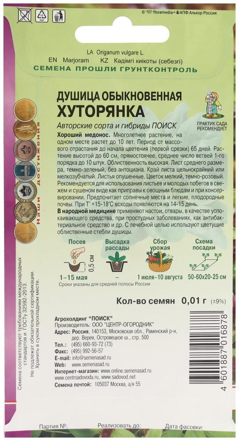 Семена Душица обыкновенная 