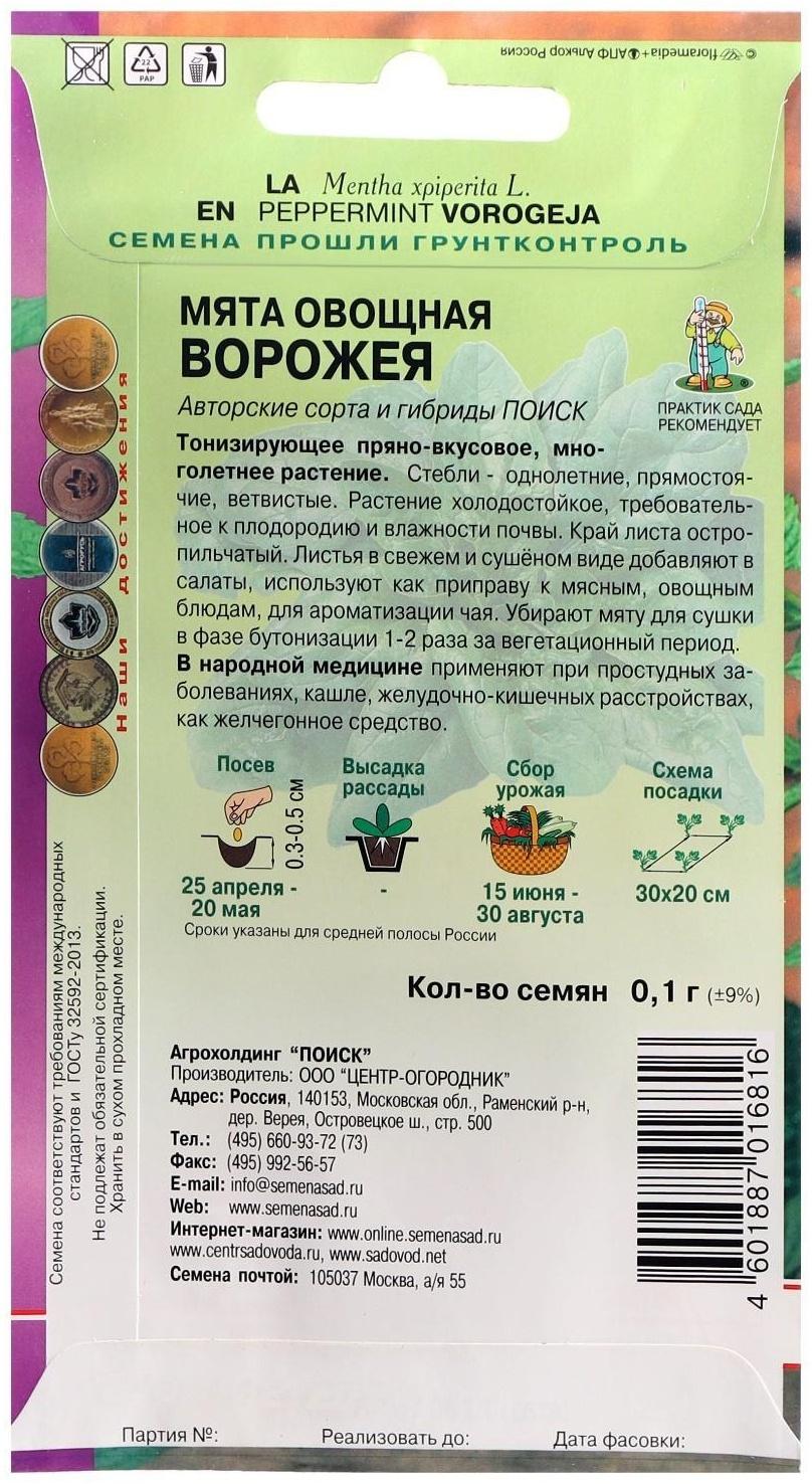 Семена Мята овощная 