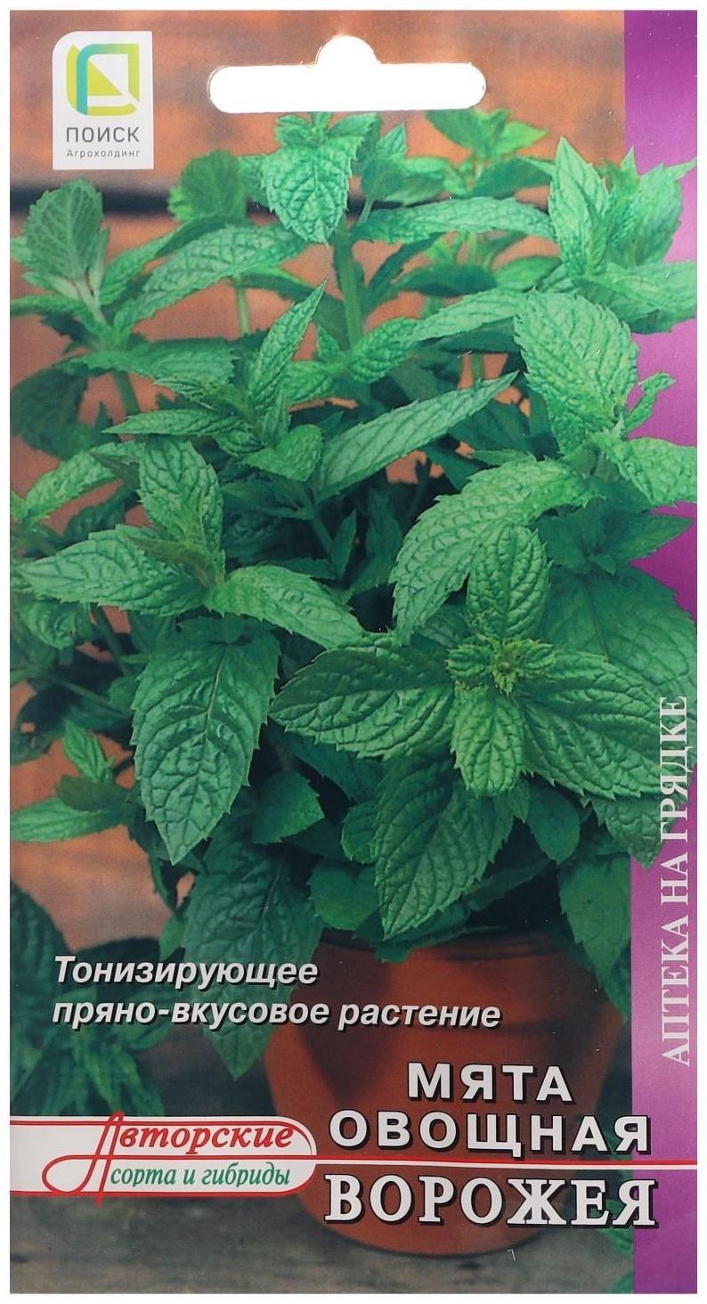 Семена Мята овощная 
