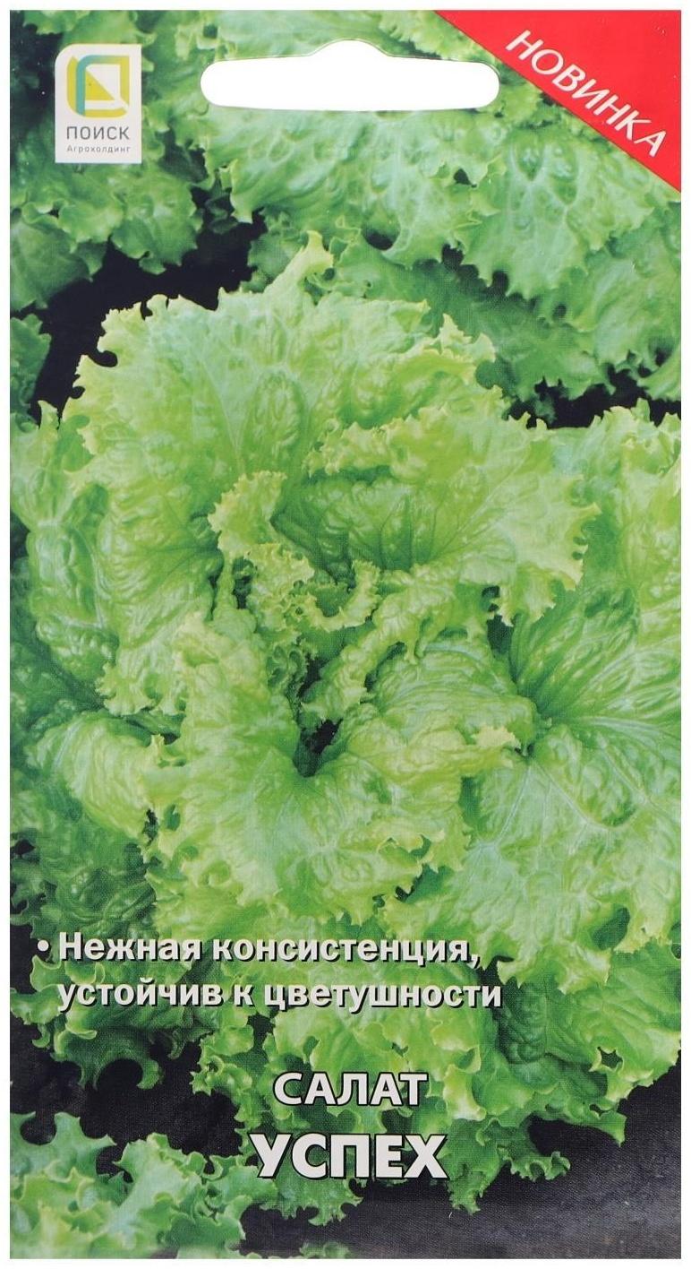 Семена Салат 