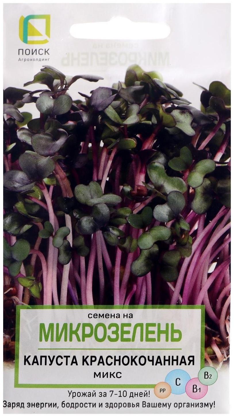 Семена на Микрозелень 