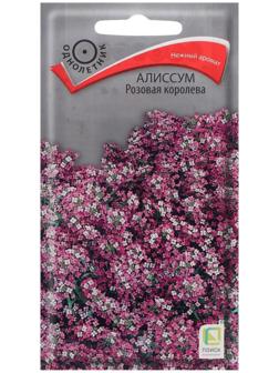 Семена цветов Алиссум 