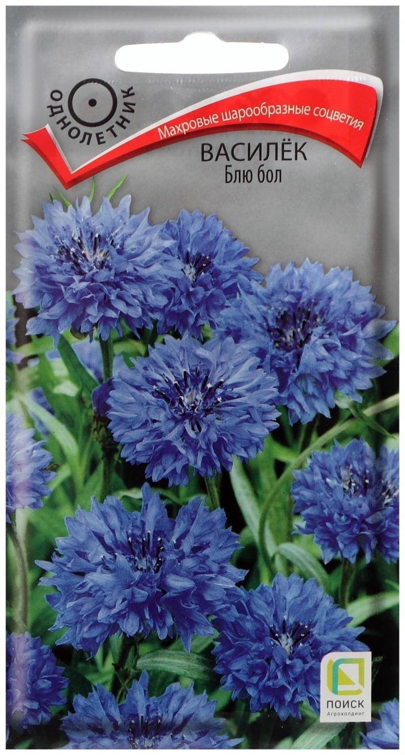 Семена цветов Василек 