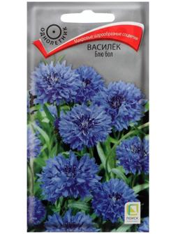 Семена цветов Василек 