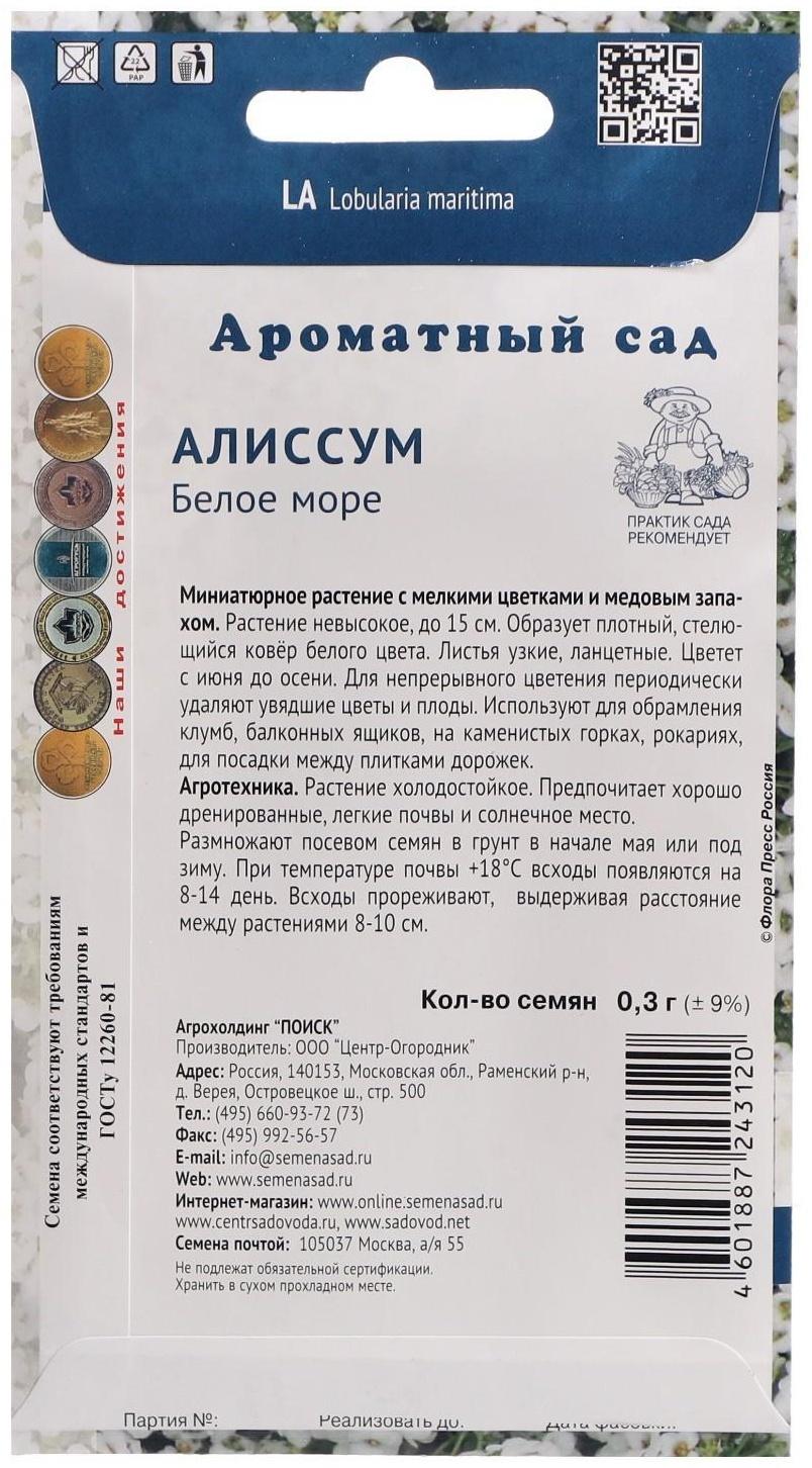 Семена цветов Алиссум 