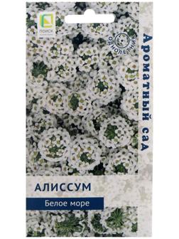 Семена цветов Алиссум 
