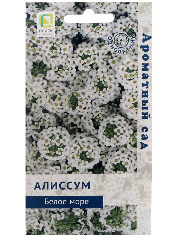 Семена цветов Алиссум 