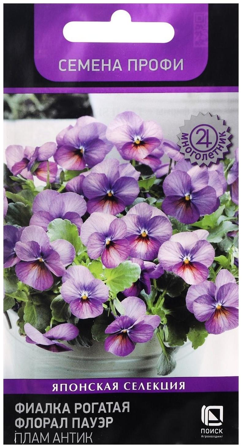 Семена цветов Фиалка 