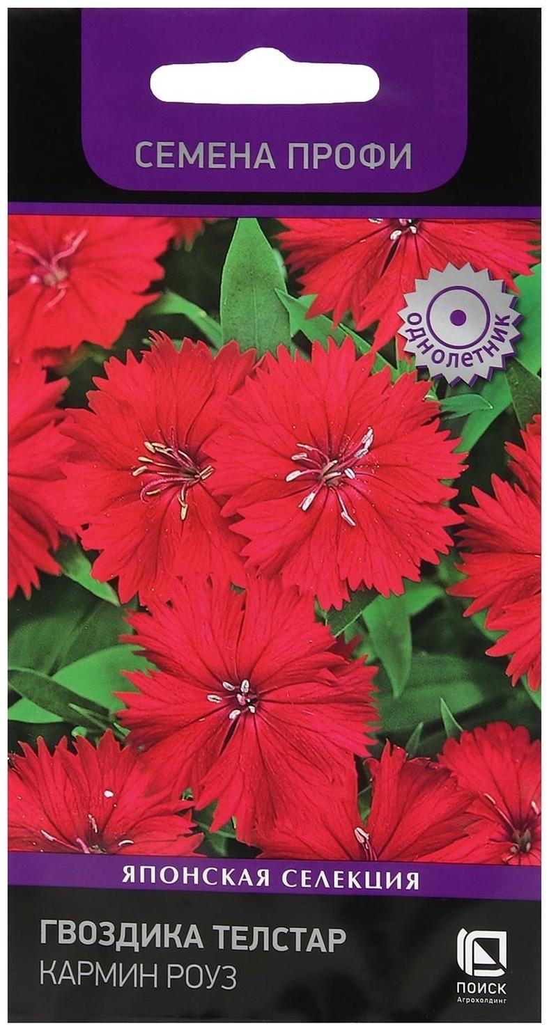 Семена цветов Гвоздика Телстар 
