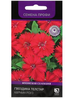 Семена цветов Гвоздика Телстар 
