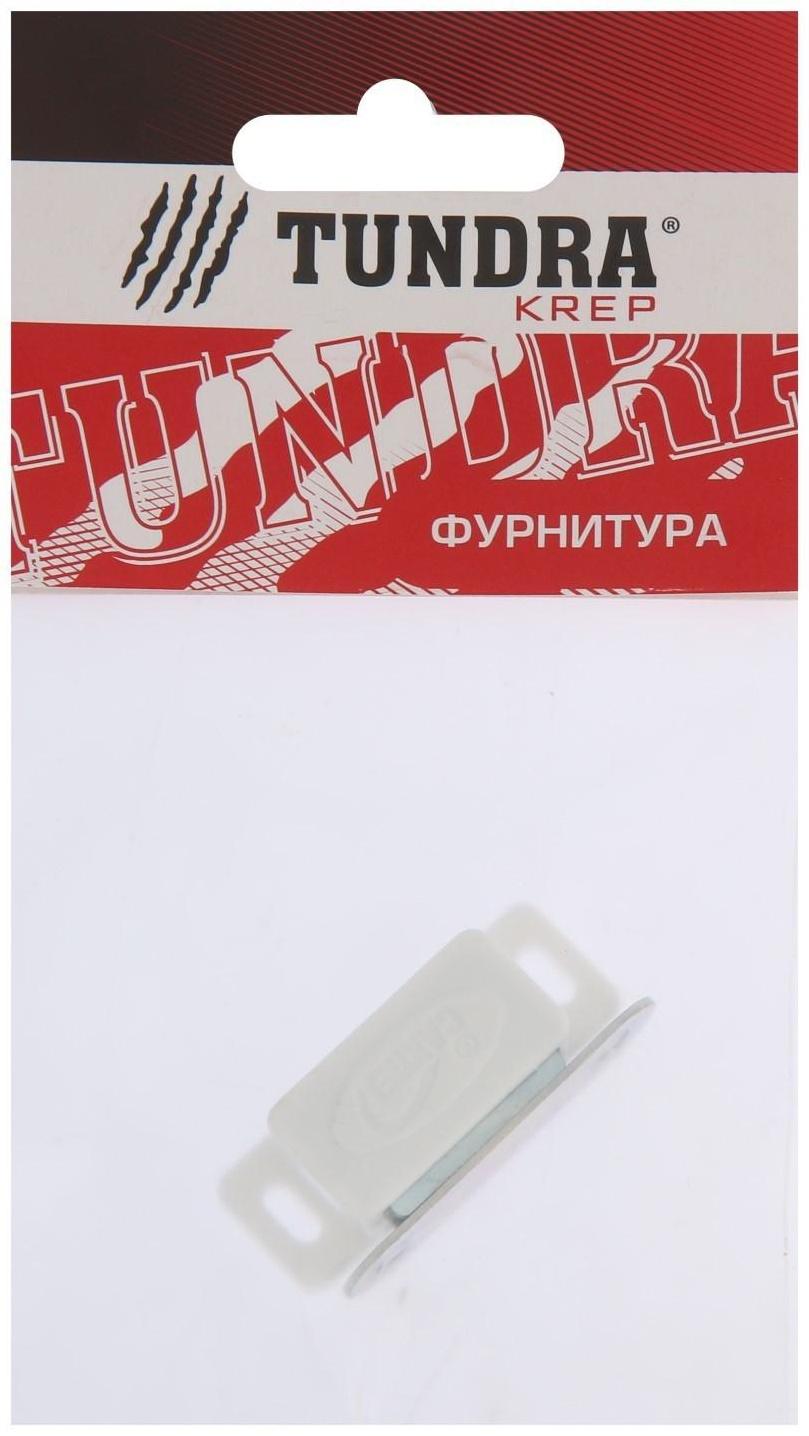 Магнит мебельный ТУНДРА M001W, 41х13 мм, маленький, цвет белый, 1 шт.