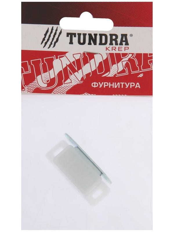 Магнит мебельный ТУНДРА M001P, 41х13 мм, маленький, прозрачный, 1 шт.