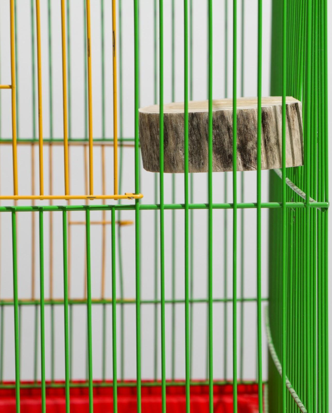 Полочка для птиц и грызунов, 7-10 см