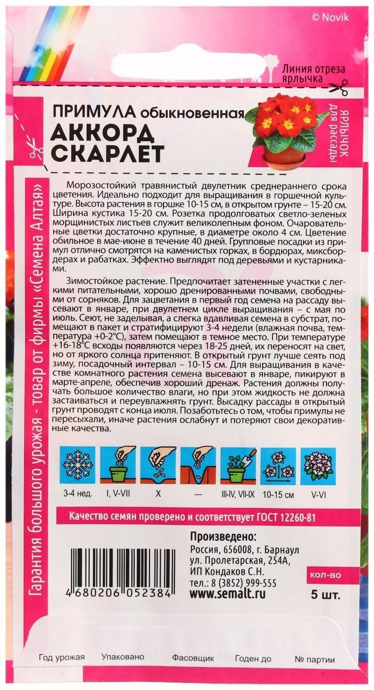 Семена цветов Примула 