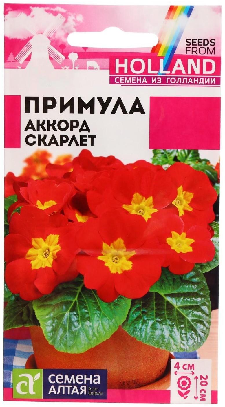 Семена цветов Примула 