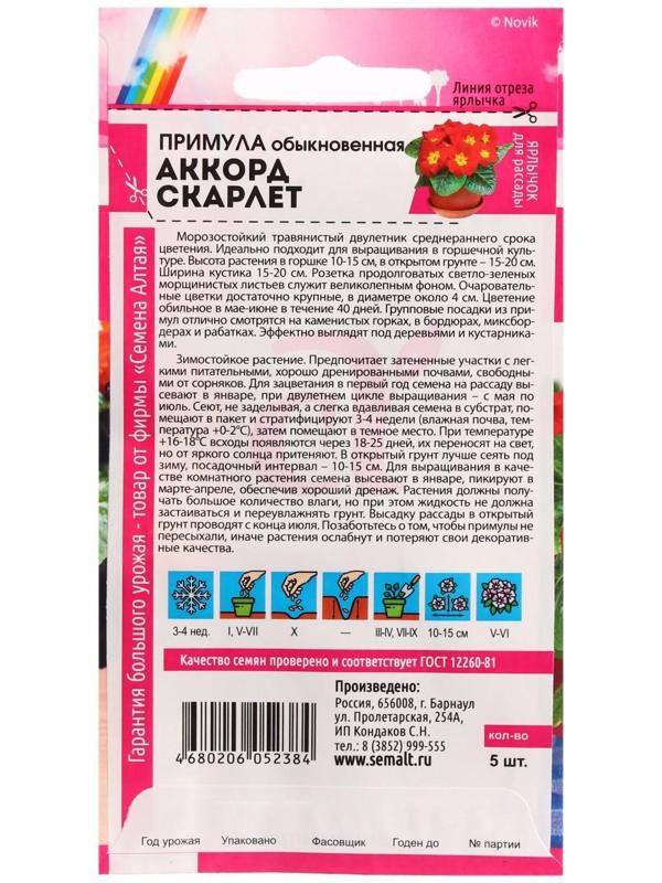 Семена цветов Примула 