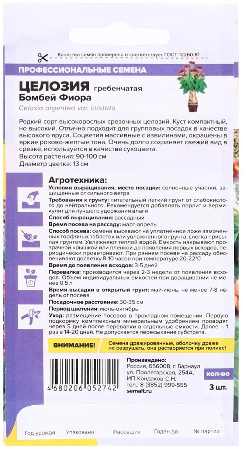 Семена цветов Целозия 