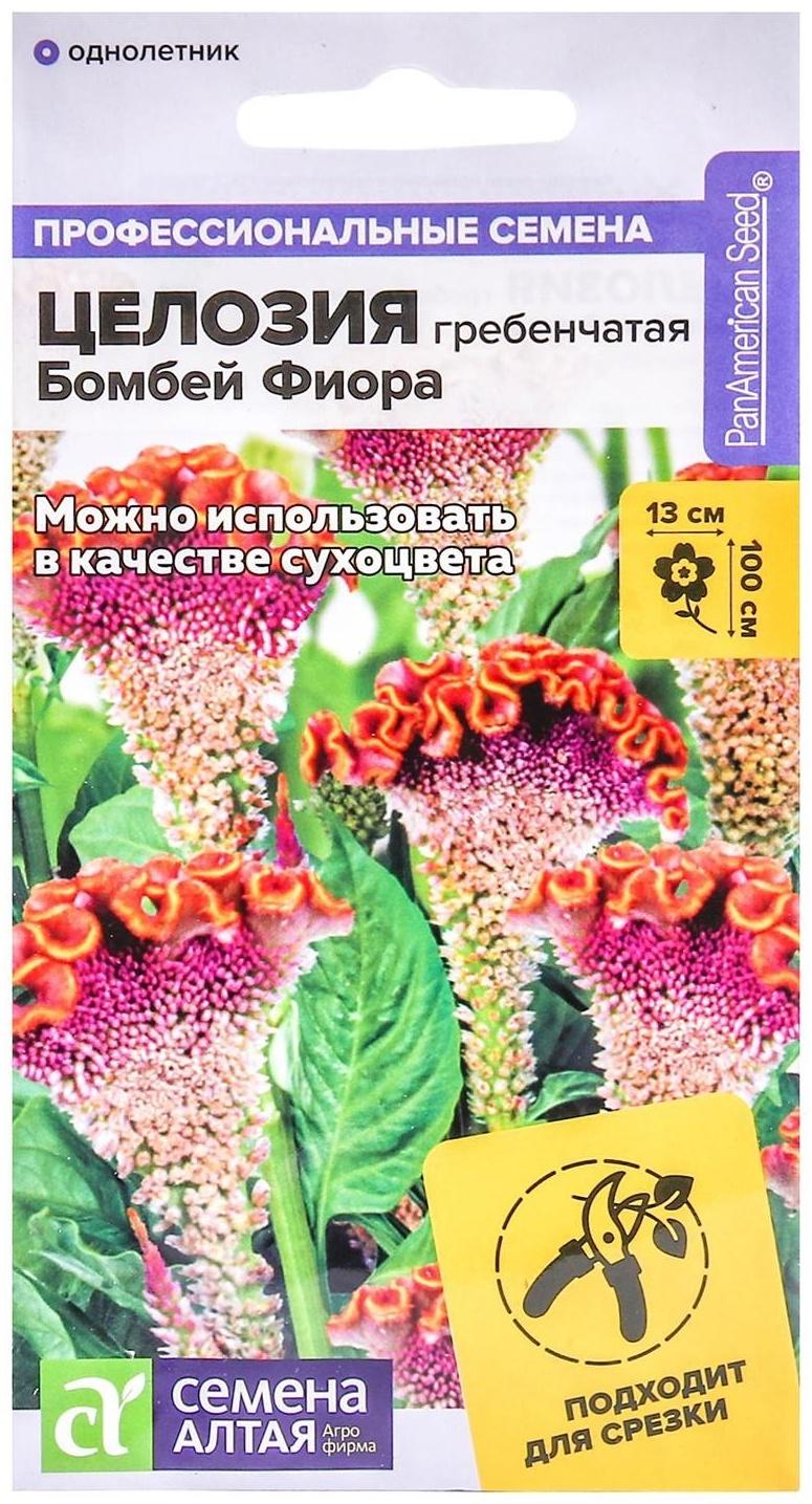 Семена цветов Целозия 