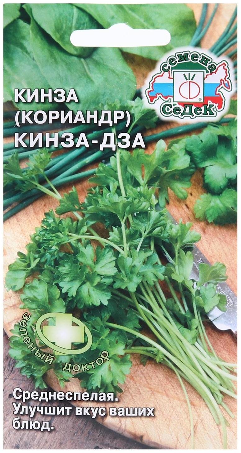 Семена Кориандр 