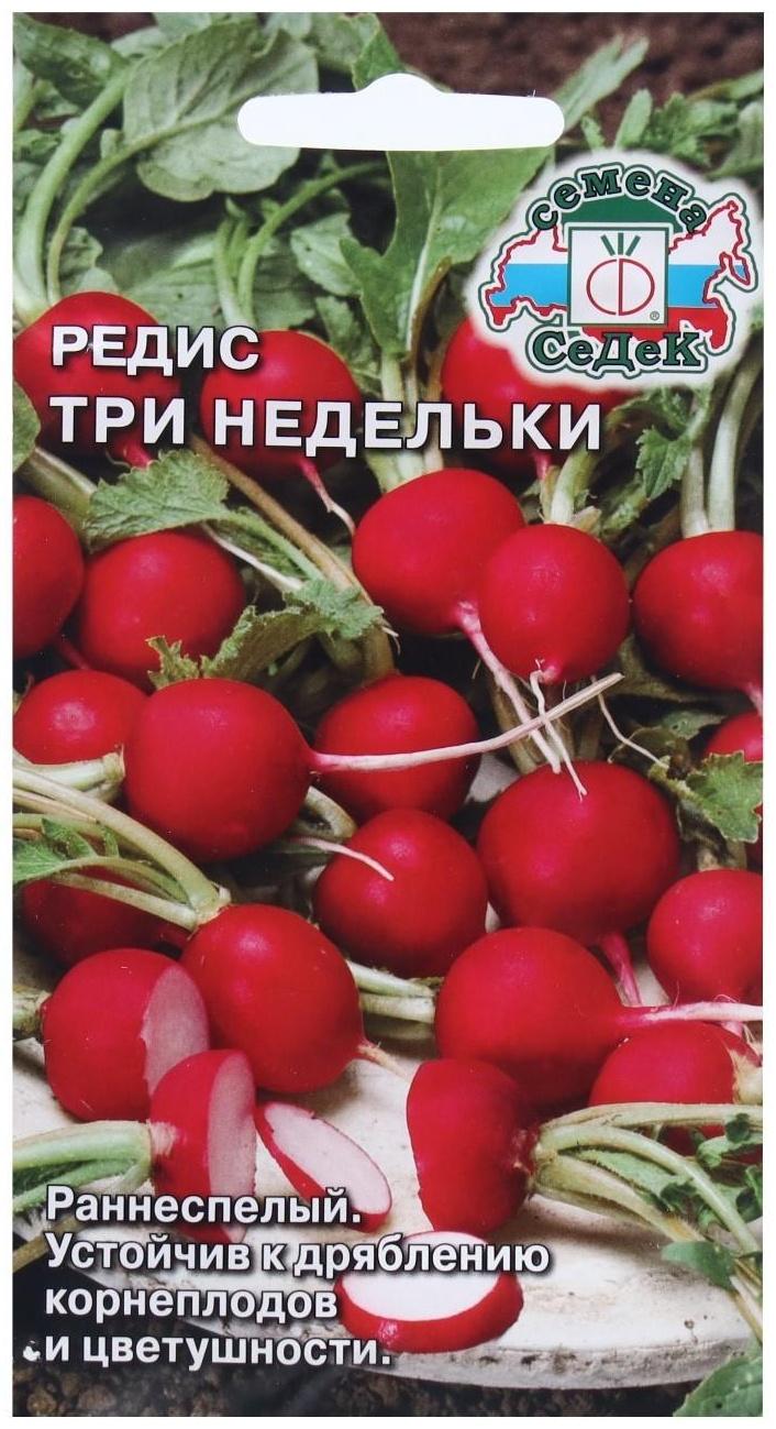 Семена Редис  