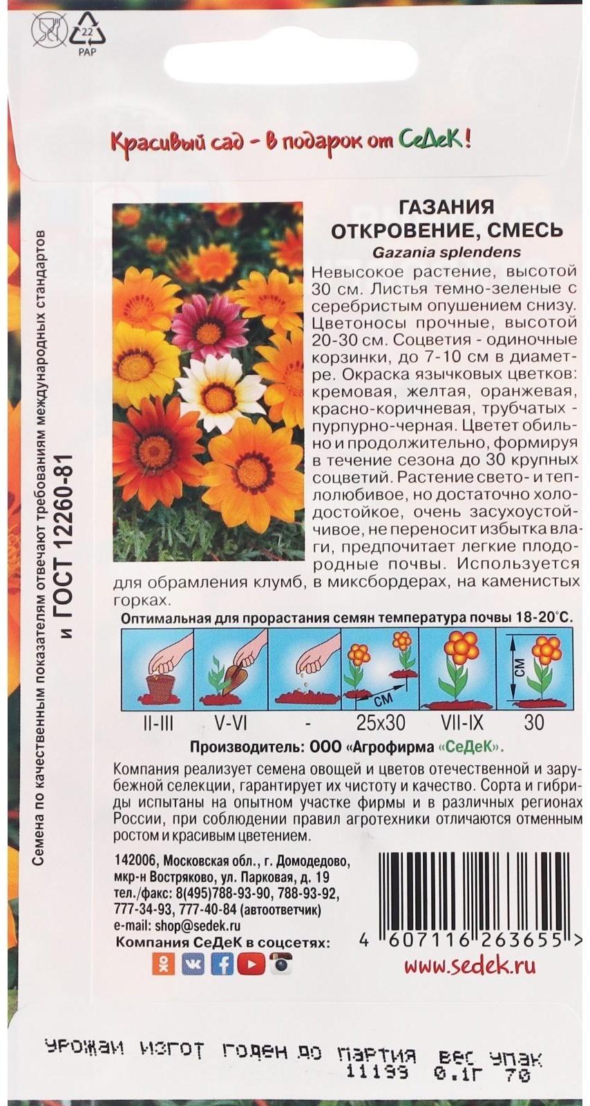 Семена цветов Газания 