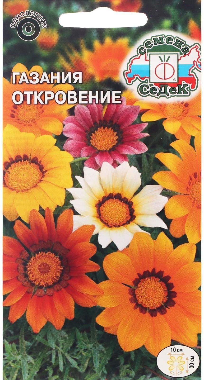 Семена цветов Газания 