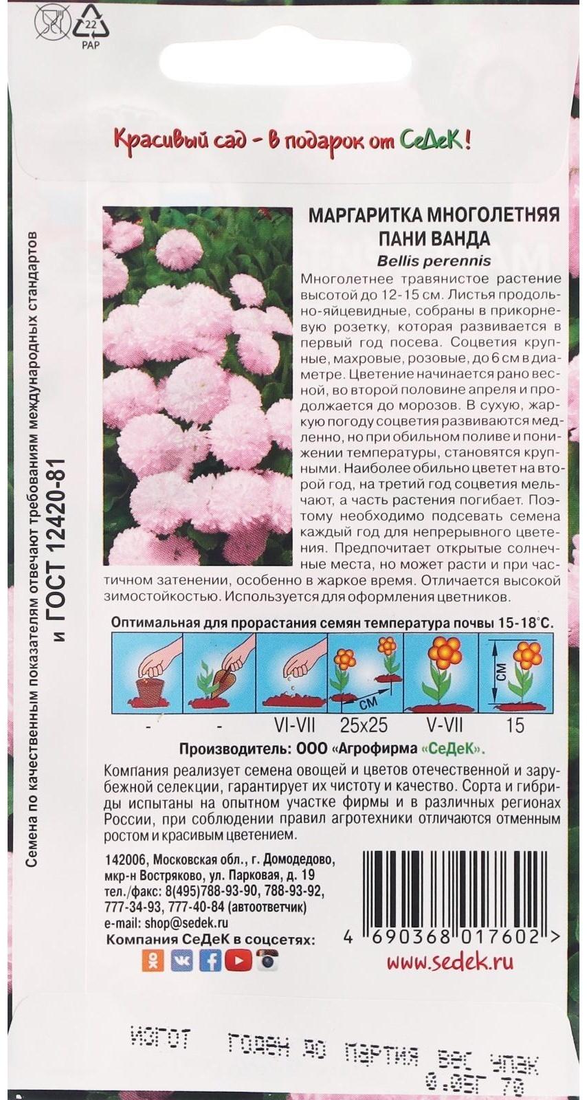 Семена Цветов Маргаритка 