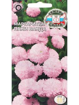 Семена Цветов Маргаритка 